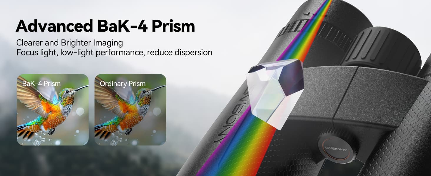 6388301649861434647189643