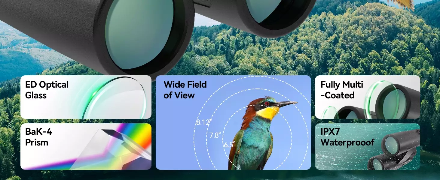 6388385236355061819275391