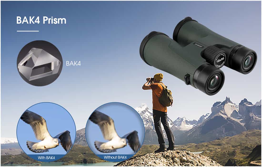 6387031195113304991029202